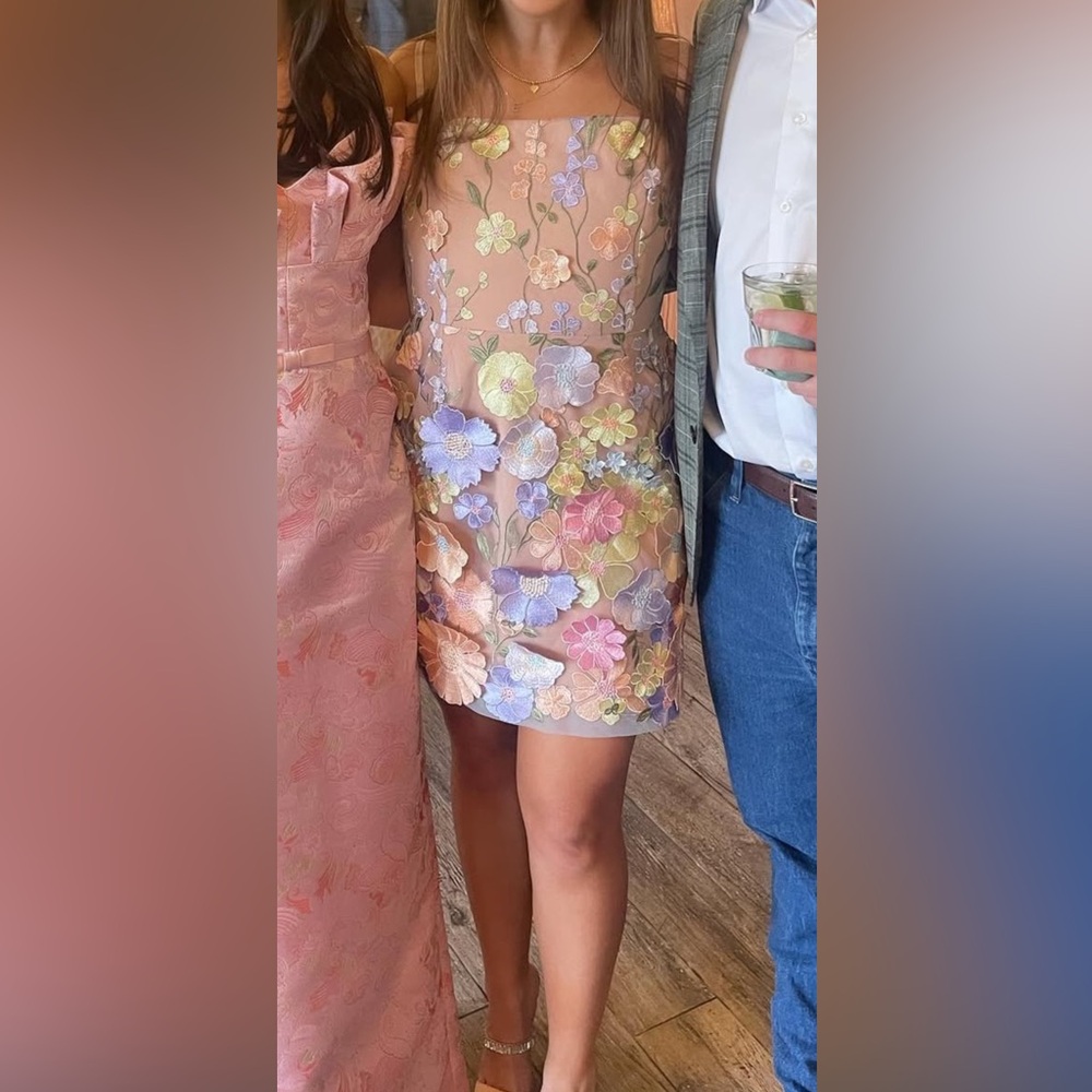 Floral Embroidered Multi-Color Dress